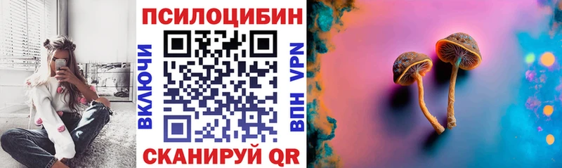 Купить где  Богучар  Псилоцибиновые грибы прущие грибы 